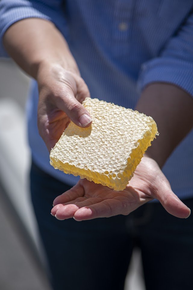 Shilo+-+HoneyStore-16 Person holding a piece of fresh honeycomb, showcasing its hexagonal structure and golden color, with a blurred background. Perfect for discussions on beekeeping, natural honey production, and healthy eating.